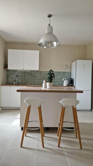 Le Champ Du Roy Appartement Chasse-sur-Rhône Buitenkant foto